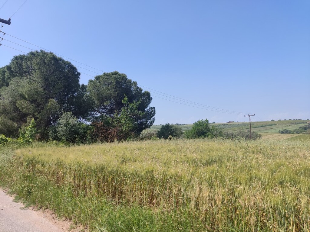 Land in Thermaikos, Thessaloniki – Suburbs, Greece – 49429