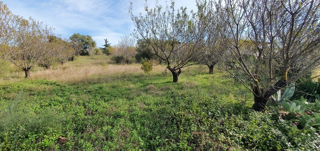 Land in Nea Propontida, Chalkidiki, Greece – 49320