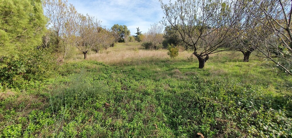 Land in Nea Propontida, Chalkidiki, Greece – 49320
