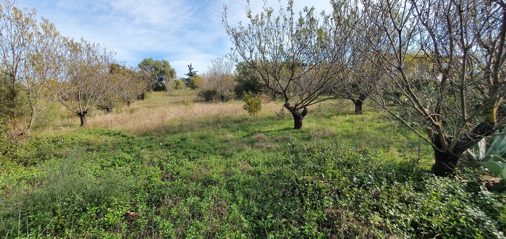 Land in Nea Propontida, Chalkidiki, Greece – 49320