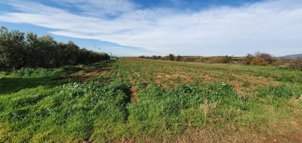 Land in Nea Propontida, Chalkidiki, Greece – 49314