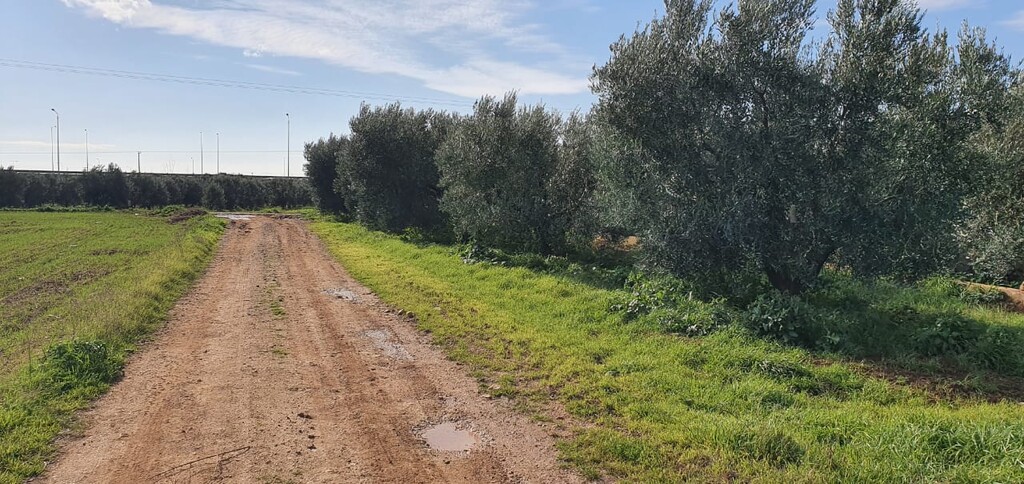 Land in Nea Propontida, Chalkidiki, Greece – 49314