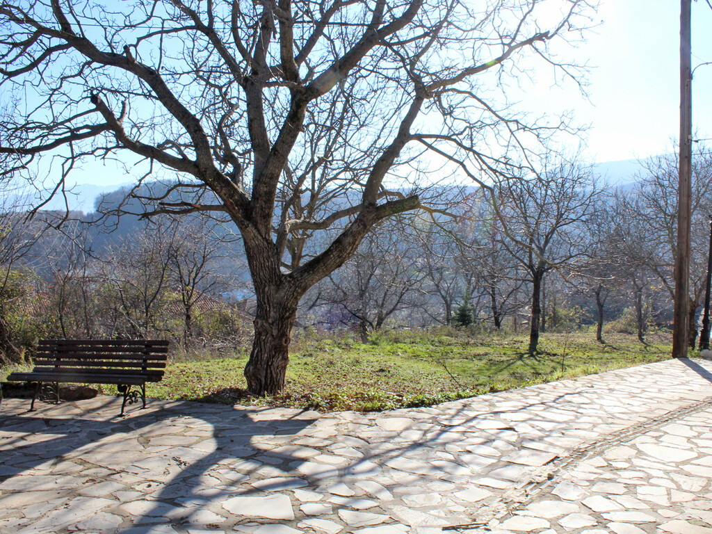 Land in Katerini, Pieria Prefecture, Greece – 49298