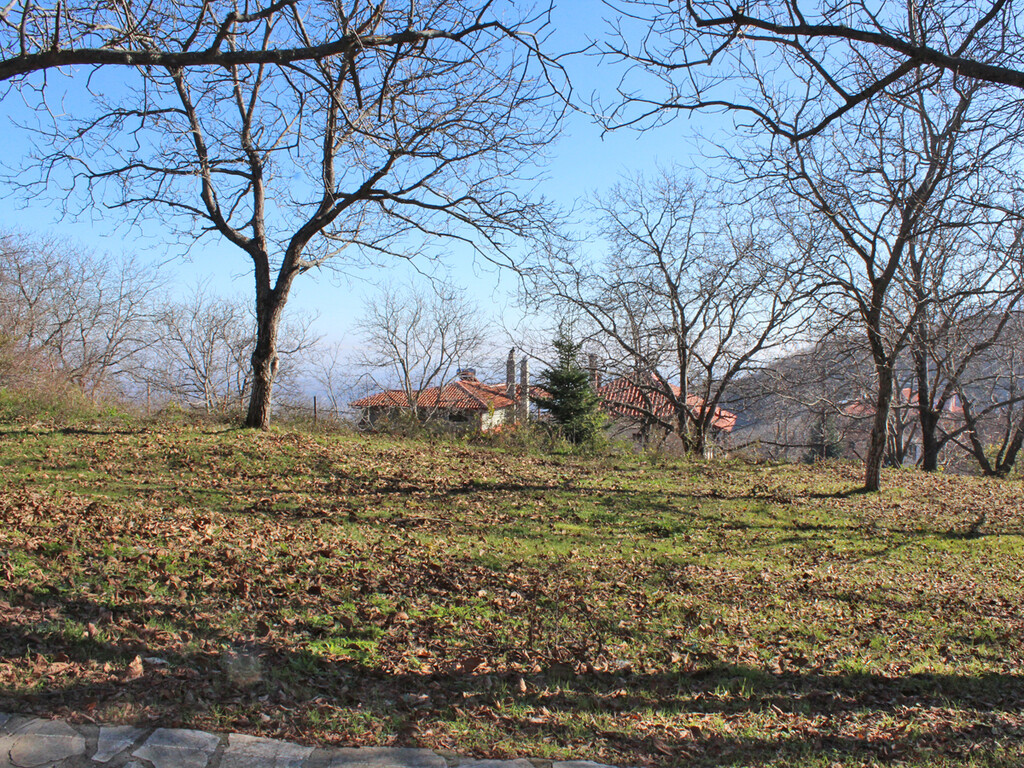 Land in Katerini, Pieria Prefecture, Greece – 49298