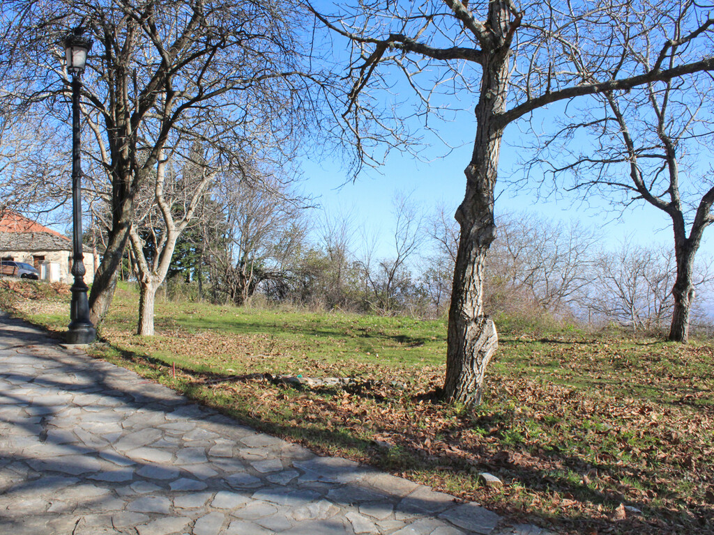 Land in Katerini, Pieria Prefecture, Greece – 49298
