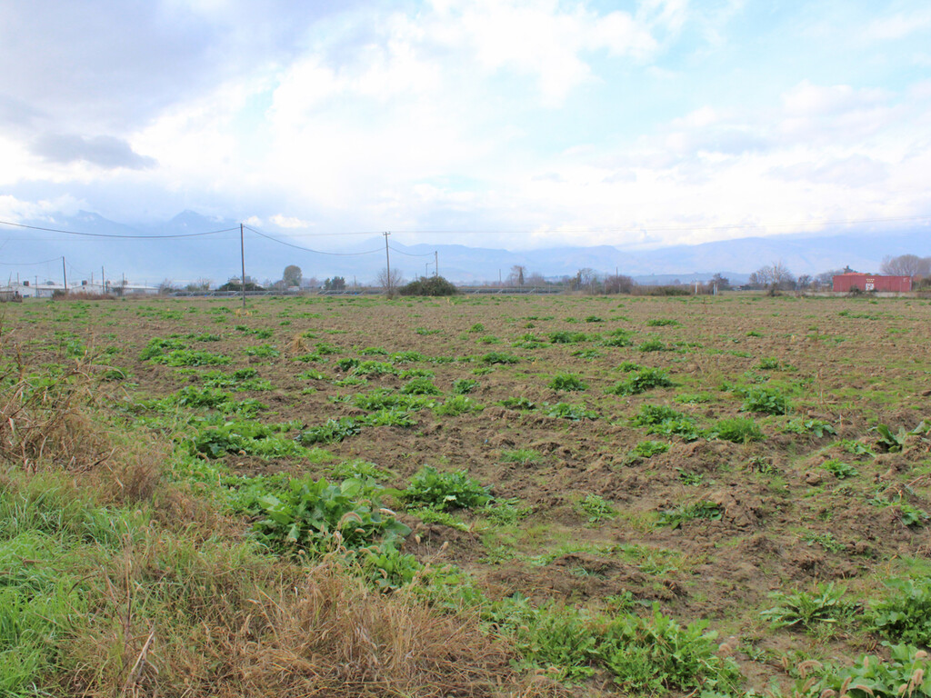 Land in Katerini, Pieria Prefecture, Greece – 49274