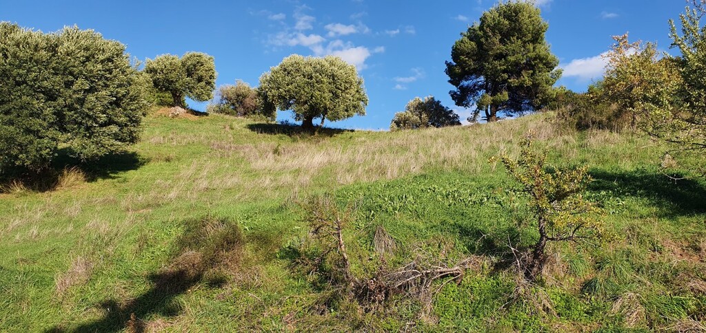 Land in Kassandra, Chalkidiki, Greece – 49240