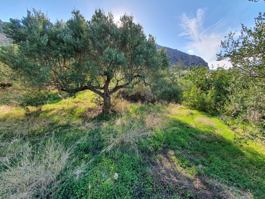 Land in Chersonisos, Heraklion Prefecture, Greece – 49171