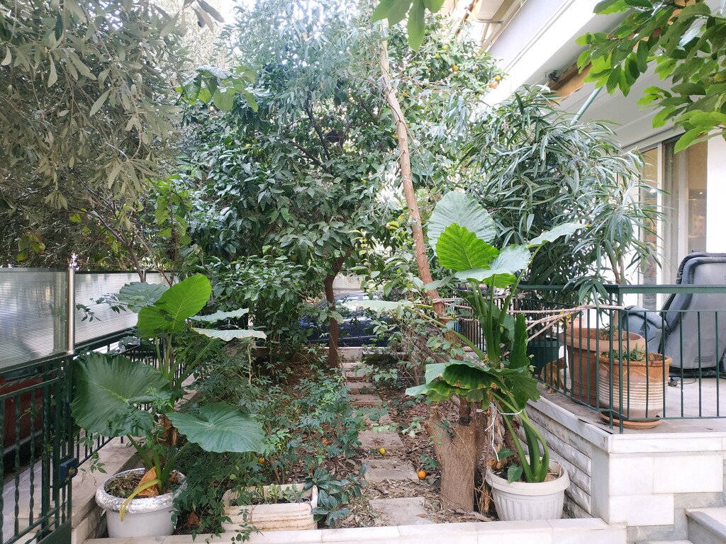 Building in Agios Eleftherios – Probona – Rizoupoli, Athens – Center, Greece – 49129