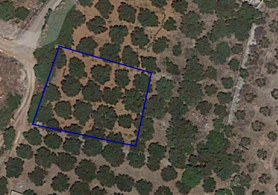 Land in Neapoli, Lasithi Prefecture, Greece – 49100
