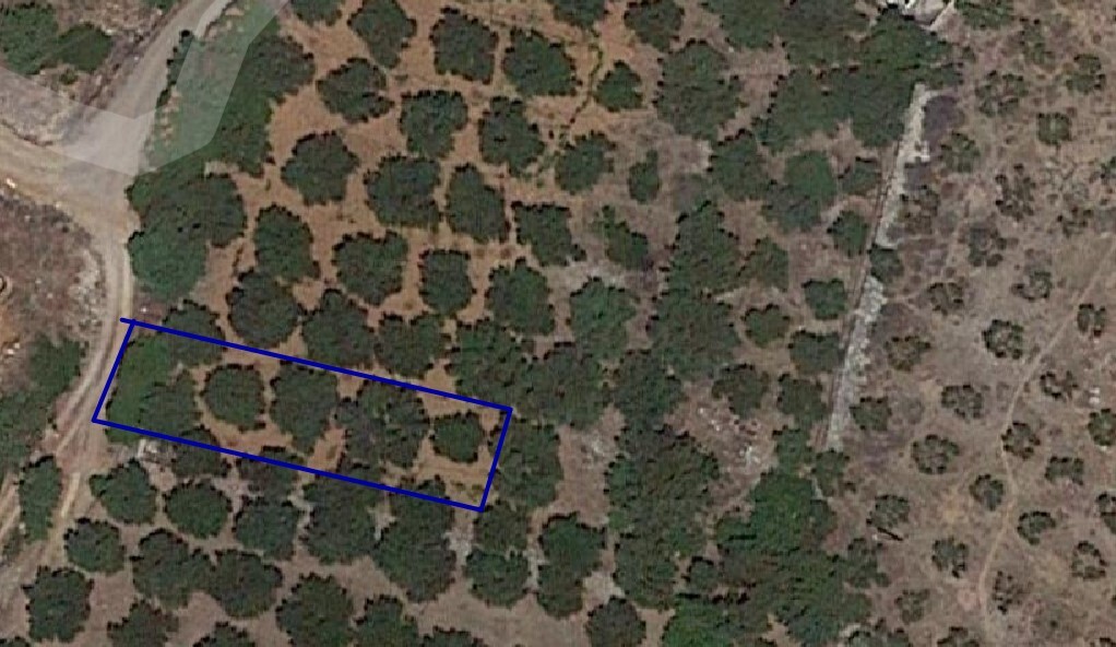 Land in Neapoli, Lasithi Prefecture, Greece – 49099