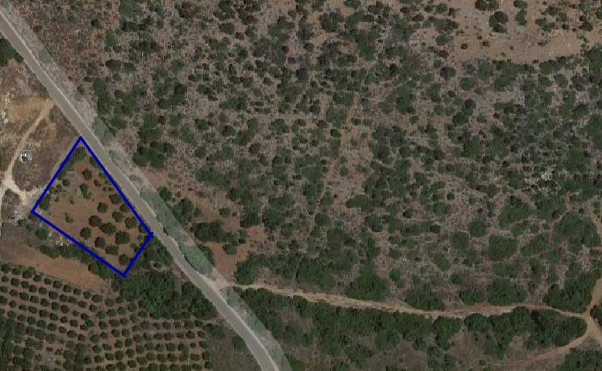 Land in Vrachasi, Lasithi Prefecture, Greece – 49098