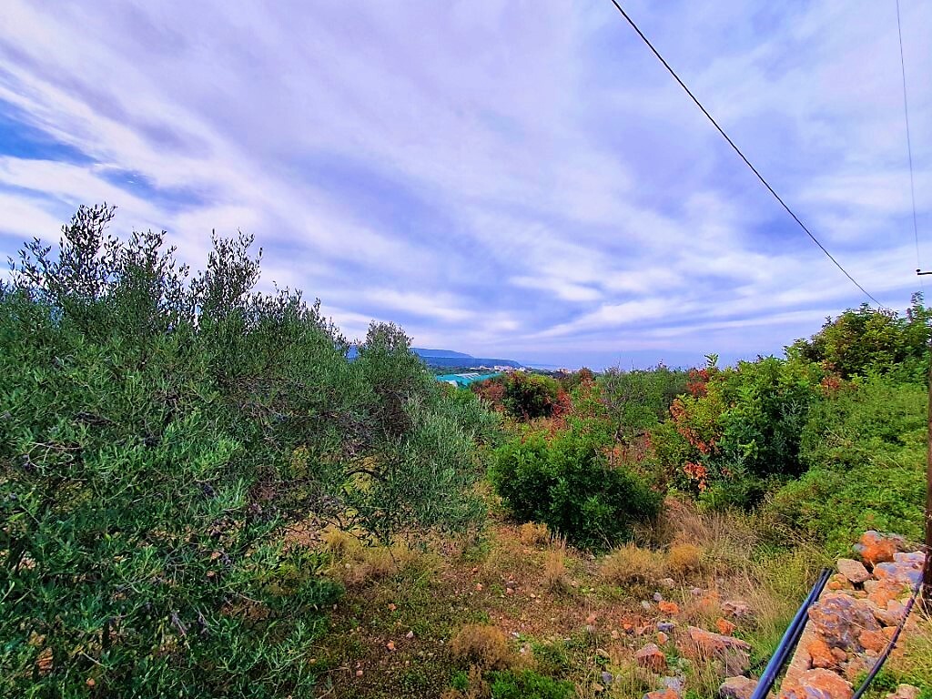 Land in Vrachasi, Lasithi Prefecture, Greece – 49098