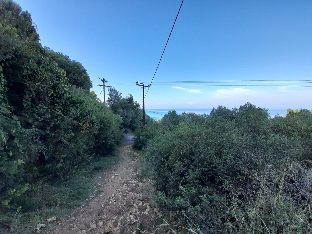 Land in Kassandra, Chalkidiki, Greece – 49057