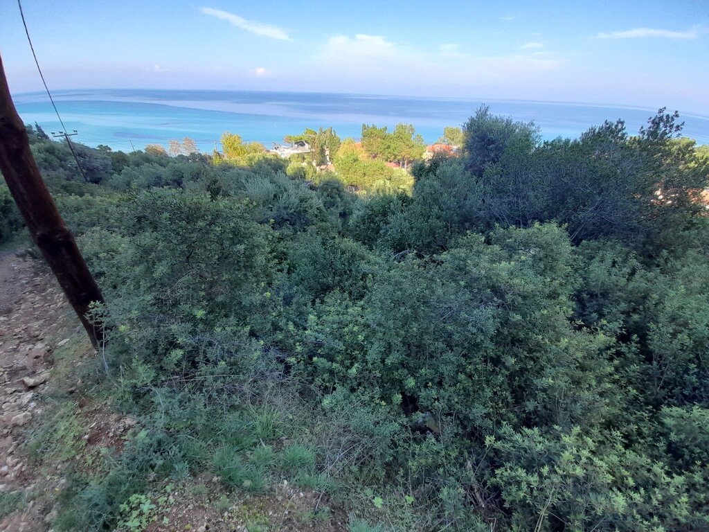 Land in Kassandra, Chalkidiki, Greece – 49057