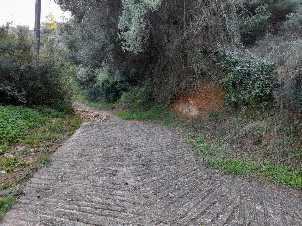 Land in Kassandra, Chalkidiki, Greece – 49057