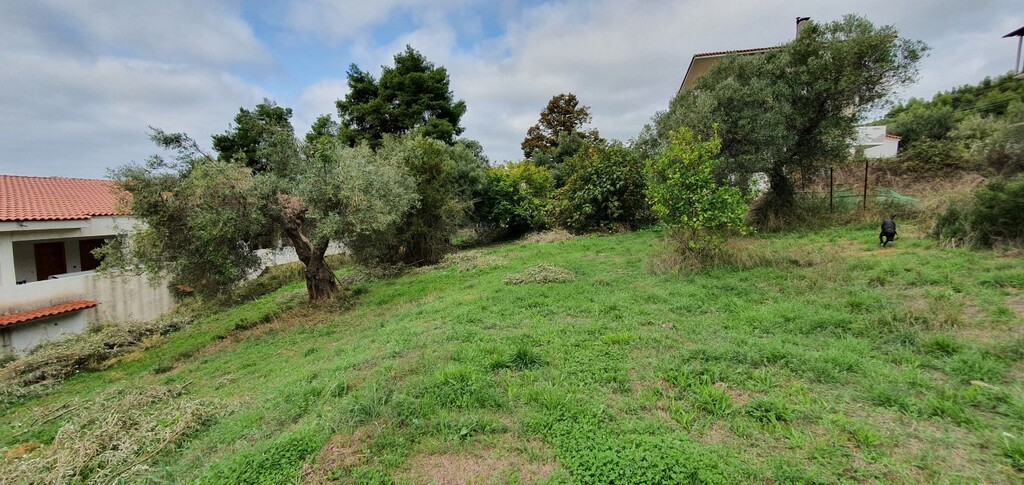 Land in Kassandra, Chalkidiki, Greece – 49023