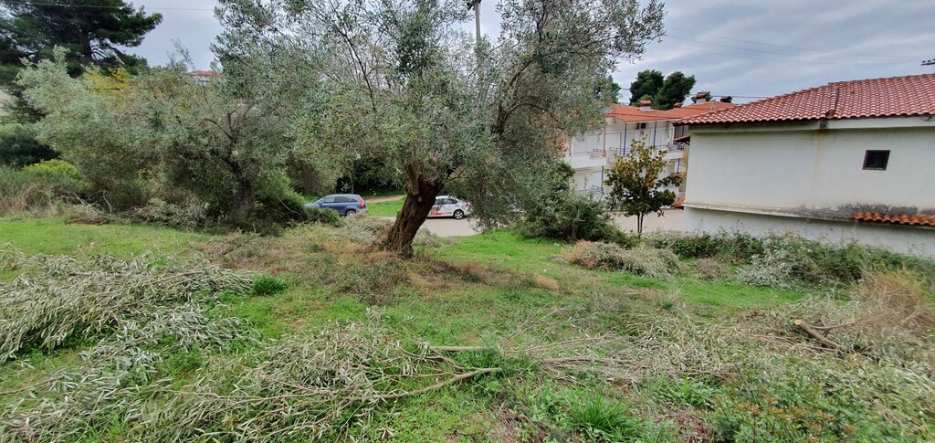 Land in Kassandra, Chalkidiki, Greece – 49023