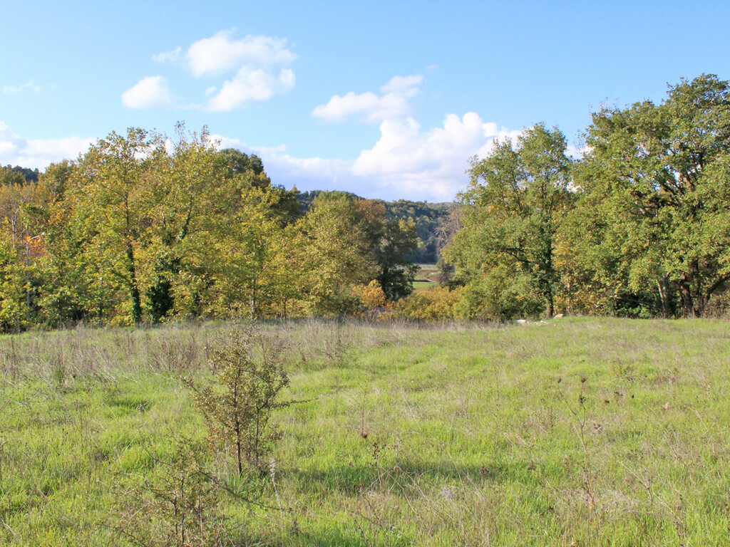 Land in Katerini, Pieria Prefecture, Greece – 48963