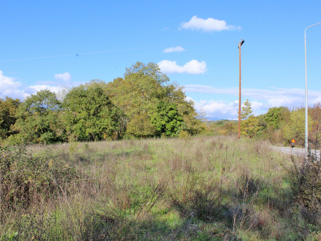 Land in Katerini, Pieria Prefecture, Greece – 48963