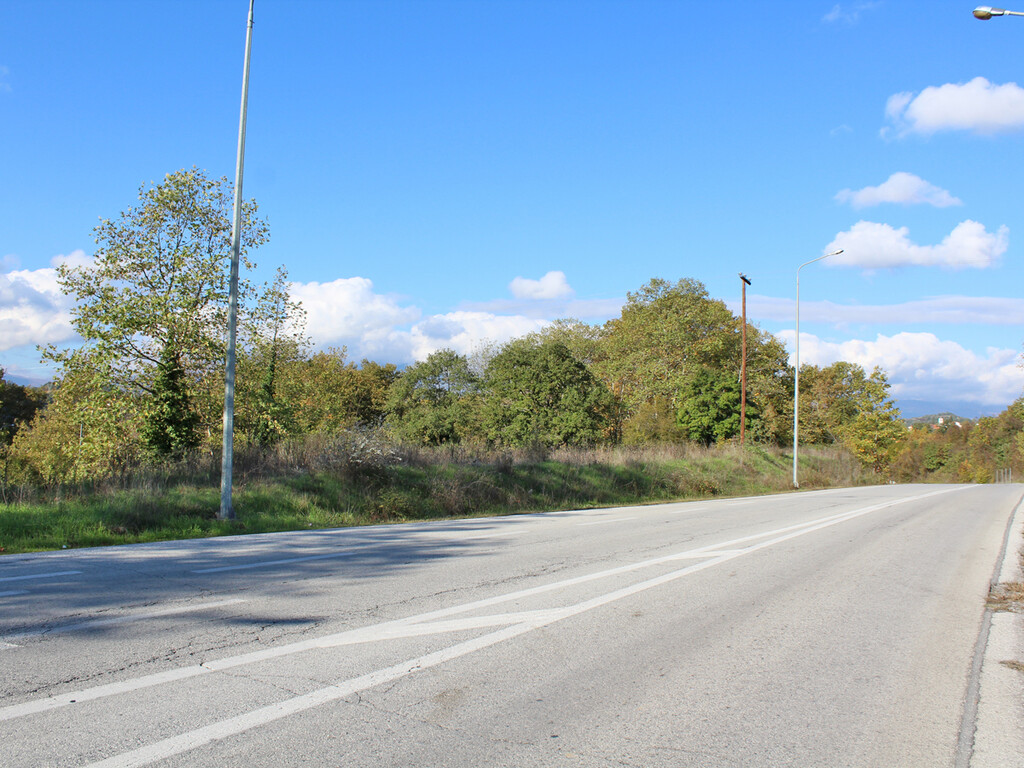 Land in Katerini, Pieria Prefecture, Greece – 48963