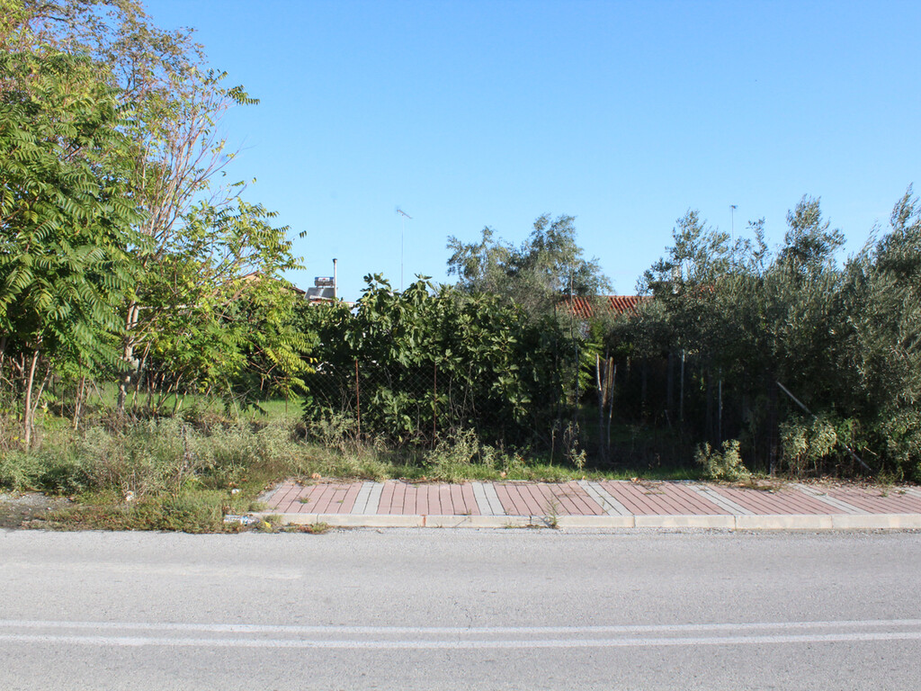 Land in Katerini, Pieria Prefecture, Greece – 48962