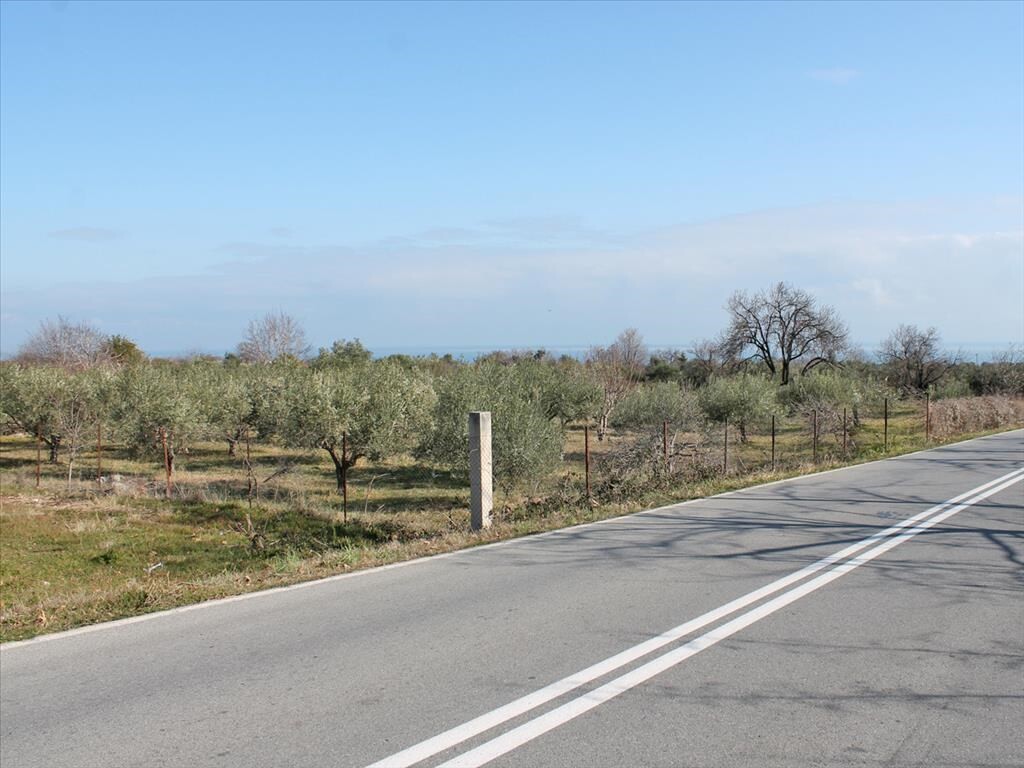 Land in Litochoro, Pieria Prefecture, Greece – 48956