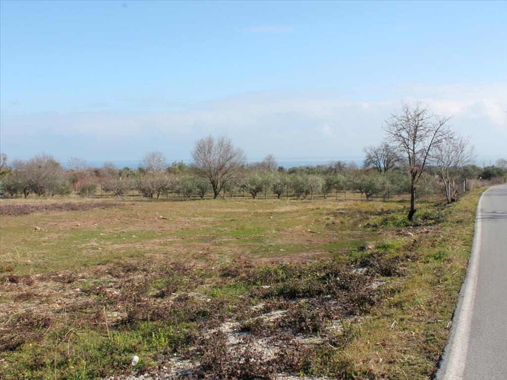Land in Litochoro, Pieria Prefecture, Greece – 48956