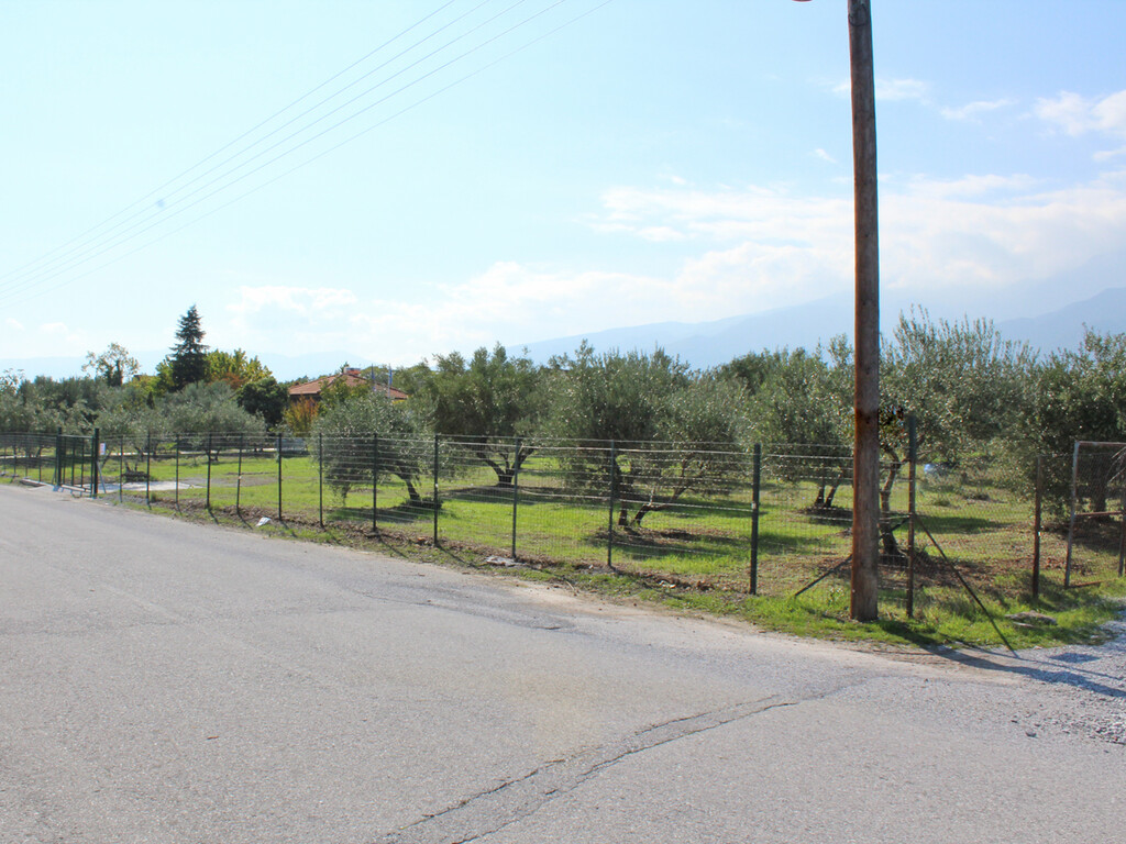 Land in Litochoro, Pieria Prefecture, Greece – 48934
