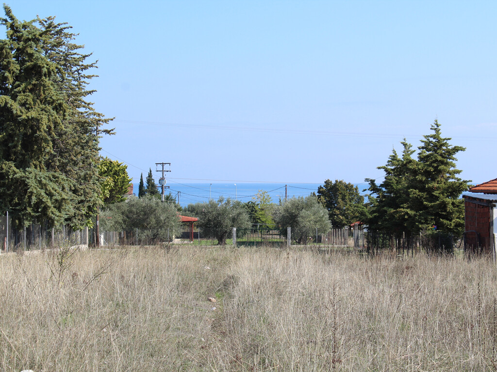Land in Litochoro, Pieria Prefecture, Greece – 48934