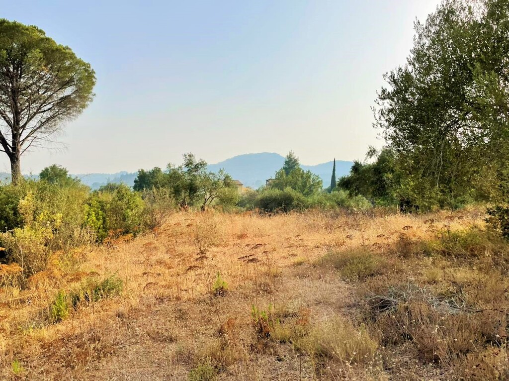Land in Corfu, Corfu Prefecture, Greece – 48867