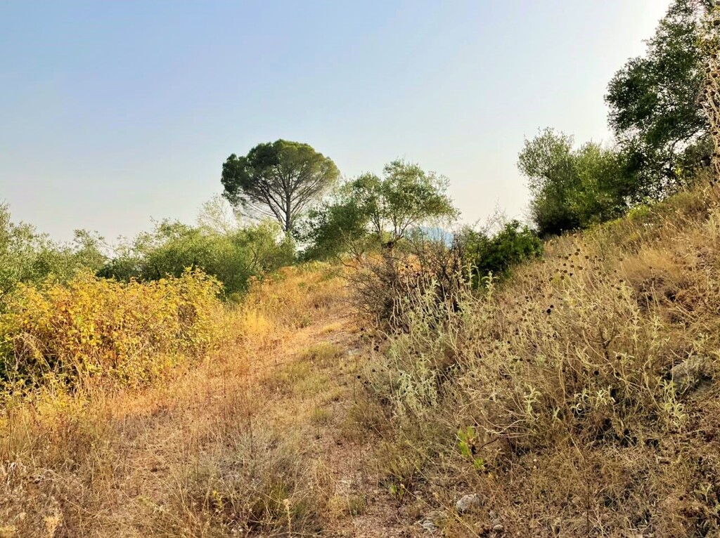 Land in Corfu, Corfu Prefecture, Greece – 48867