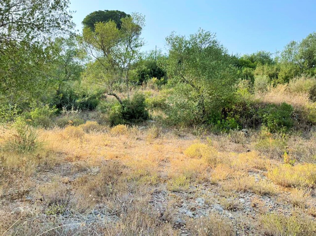 Land in Corfu, Corfu Prefecture, Greece – 48867