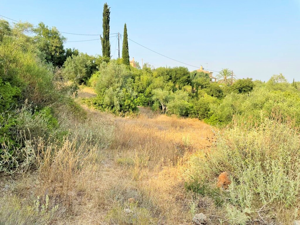 Land in Corfu, Corfu Prefecture, Greece – 48867