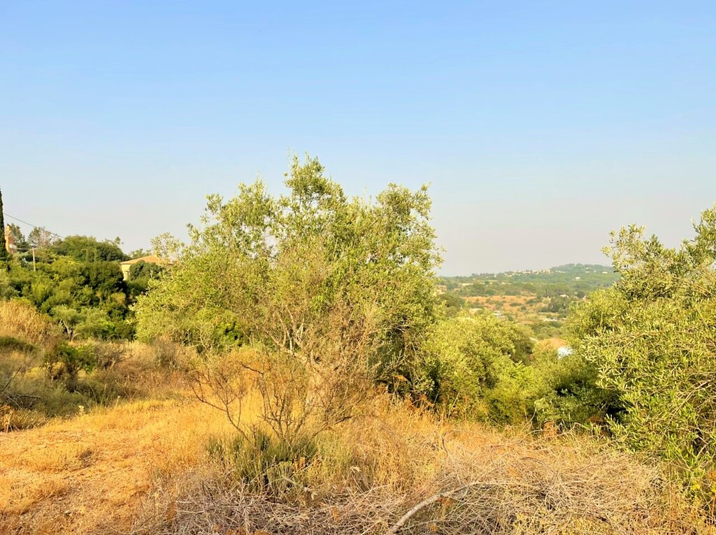 Land in Corfu, Corfu Prefecture, Greece – 48867