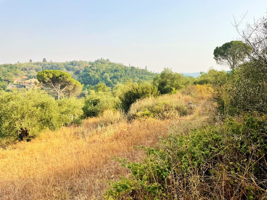 Land in Corfu, Corfu Prefecture, Greece – 48867