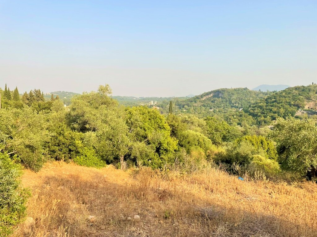 Land in Corfu, Corfu Prefecture, Greece – 48867