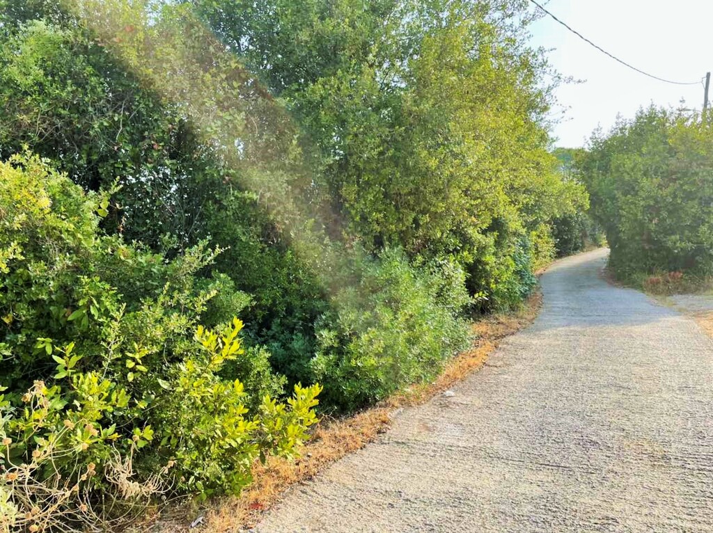 Land in Corfu, Corfu Prefecture, Greece – 48867