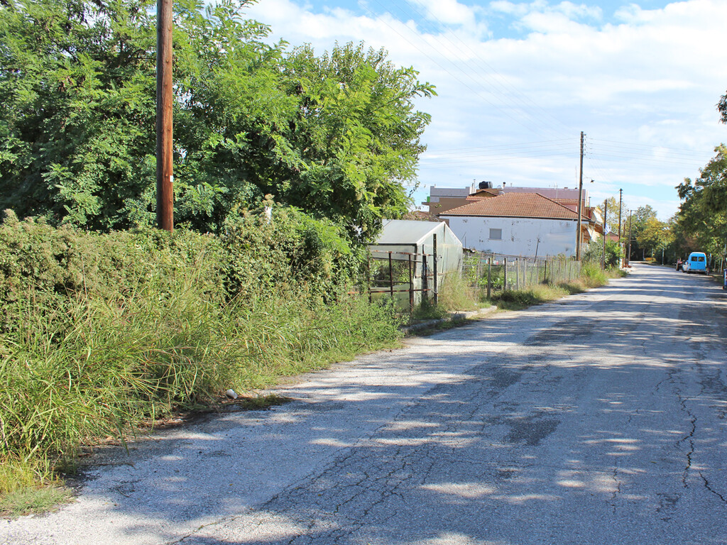 Land in Dion, Pieria Prefecture, Greece – 48866