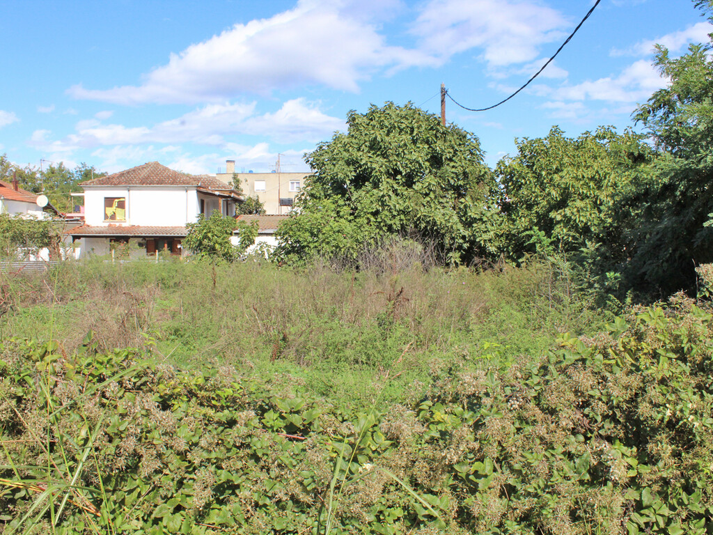 Land in Dion, Pieria Prefecture, Greece – 48866
