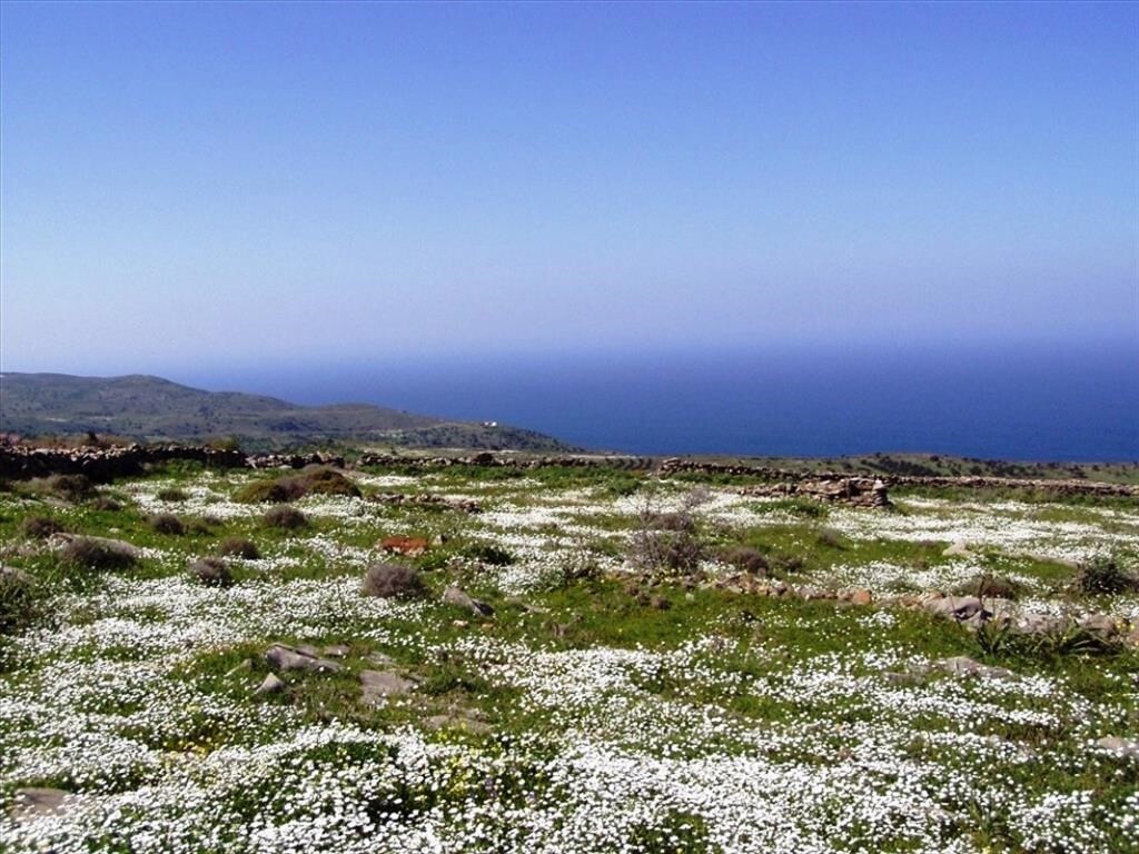 Land in Agios Nikolaos, Lasithi Prefecture, Greece – 48834