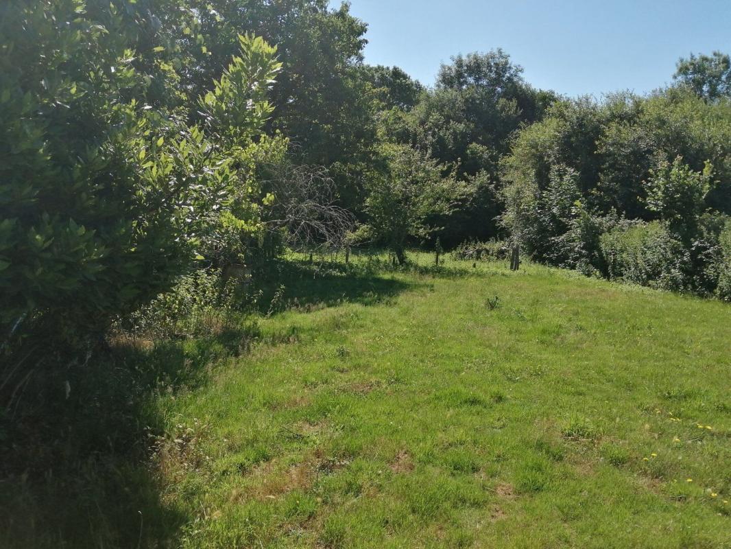 2 bedroom propriete in Chirac, Charente, France