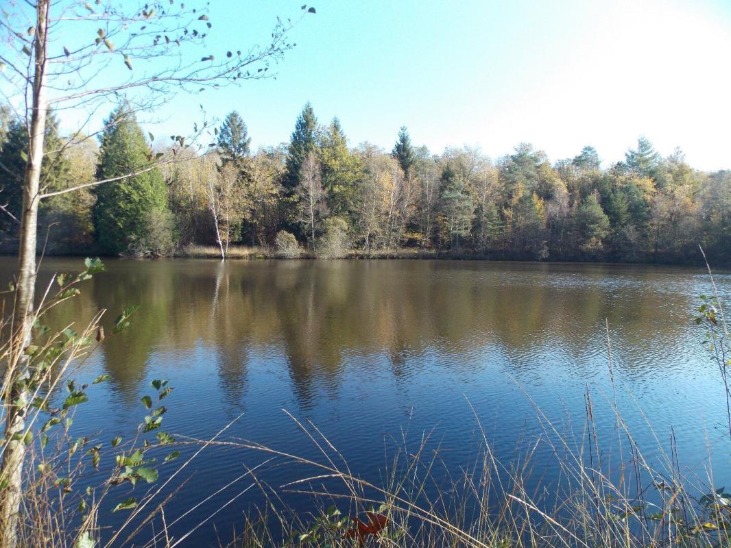 etang in La Chapelle Montbrandeix, Haute-Vienne, France