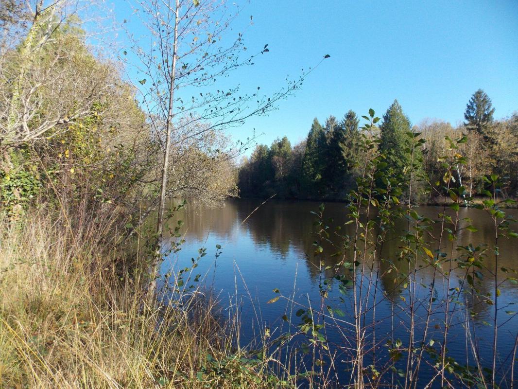 etang in La Chapelle Montbrandeix, Haute-Vienne, France