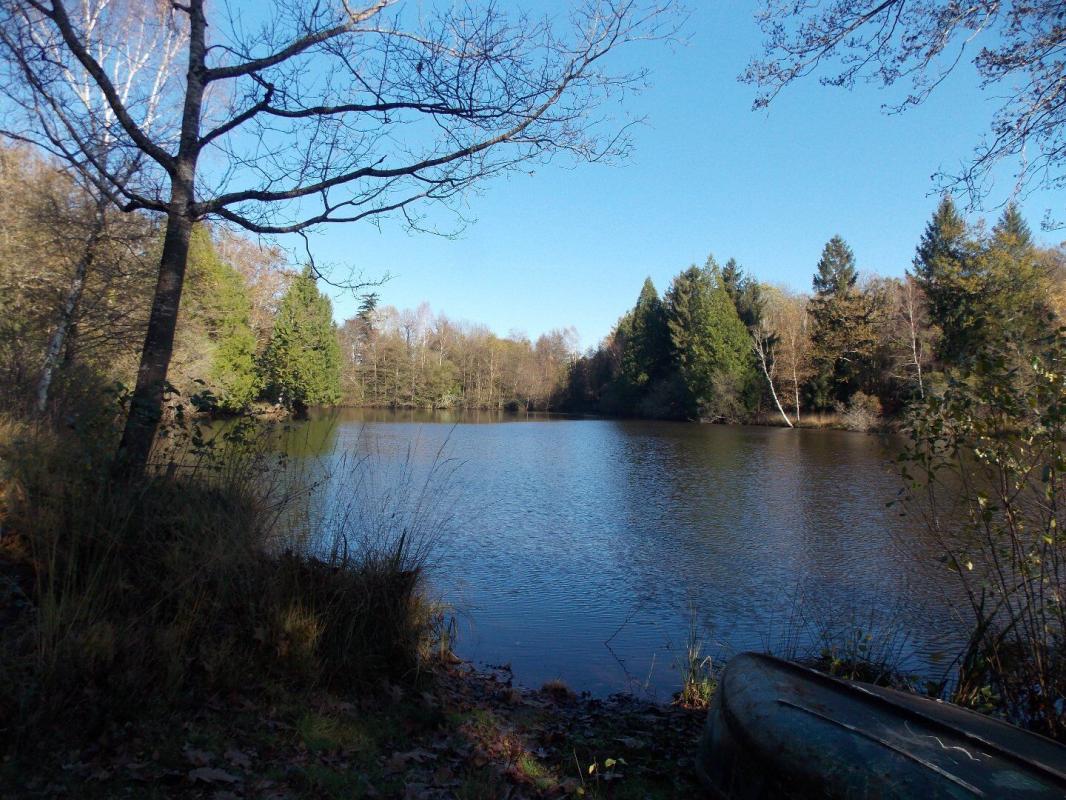 etang in La Chapelle Montbrandeix, Haute-Vienne, France