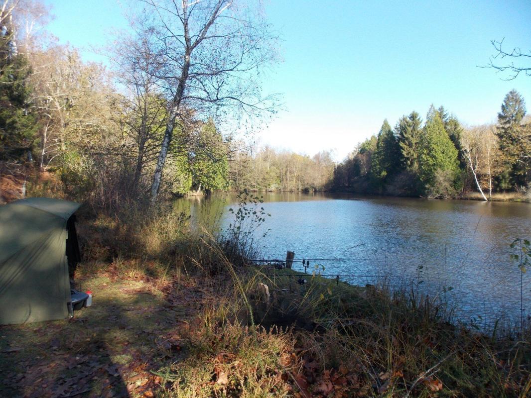 etang in La Chapelle Montbrandeix, Haute-Vienne, France
