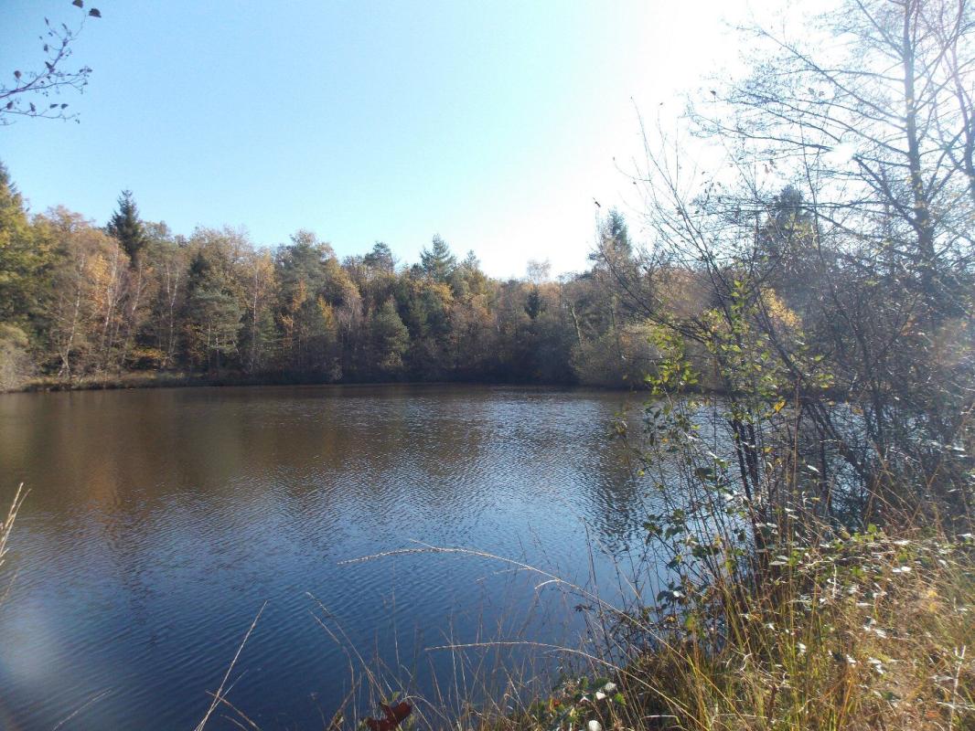 etang in La Chapelle Montbrandeix, Haute-Vienne, France