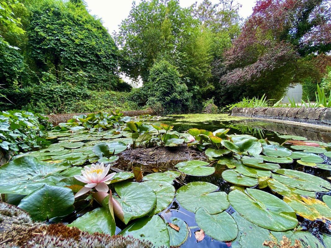 5 bedroom propriete in Carcassonne, Aude, France