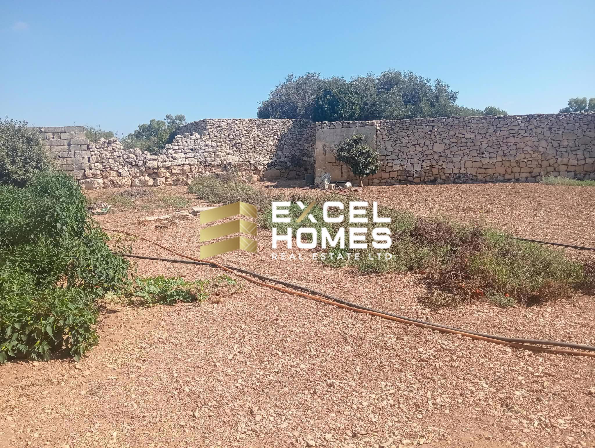 Agricultural Land in Safi, Malta – 69726