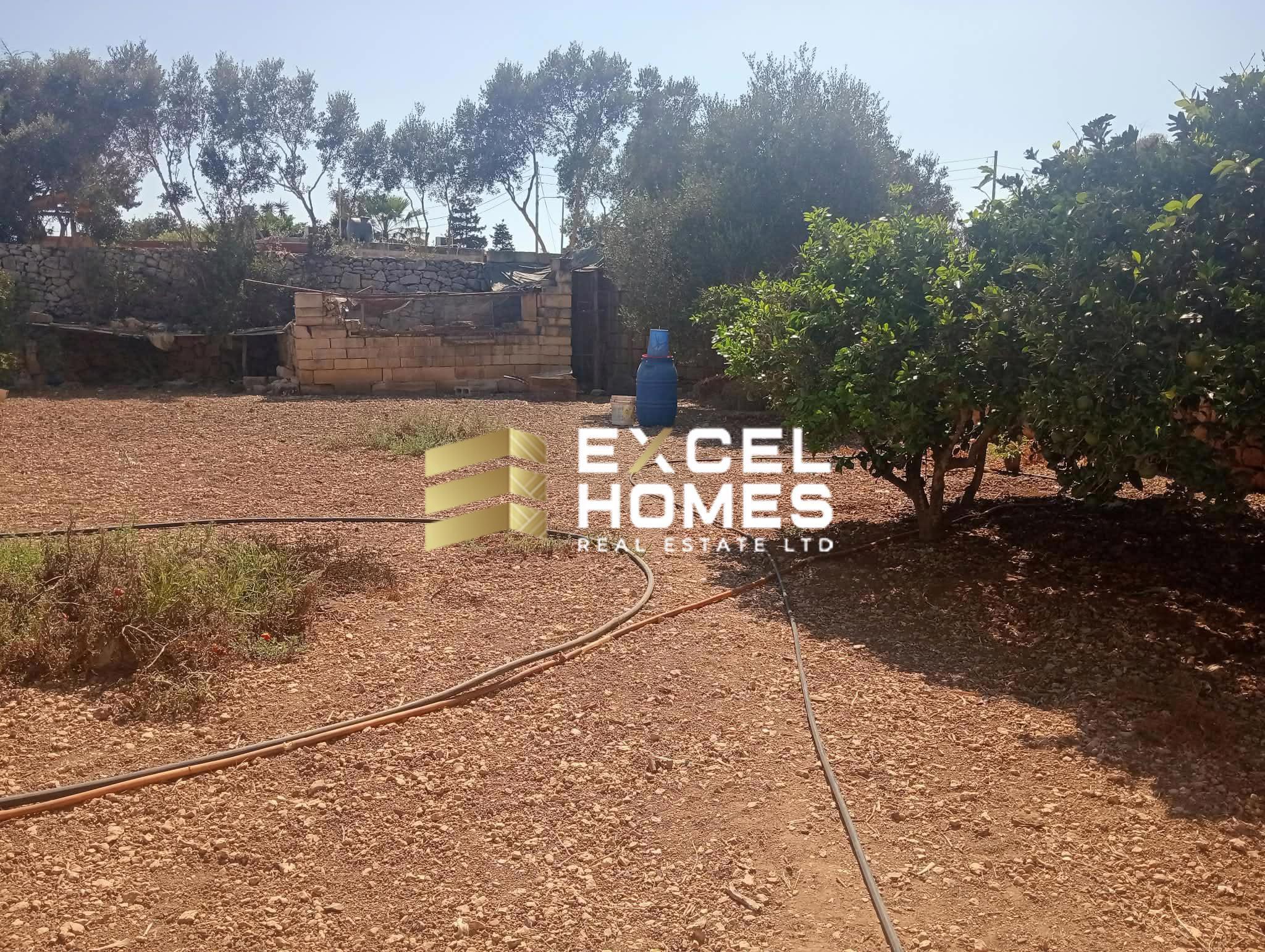 Agricultural Land in Safi, Malta – 69726